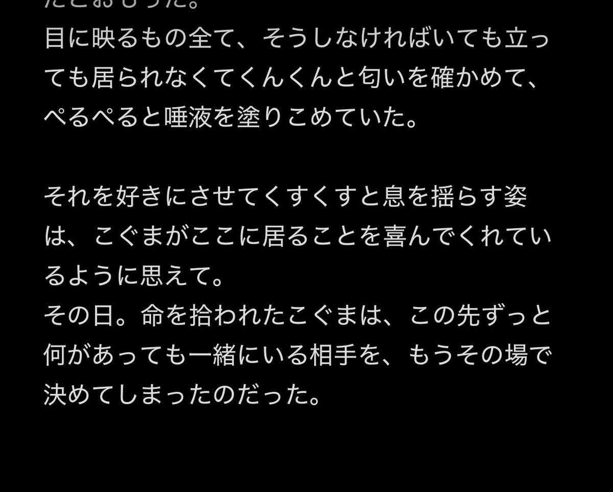 ぽーピ tweet media
