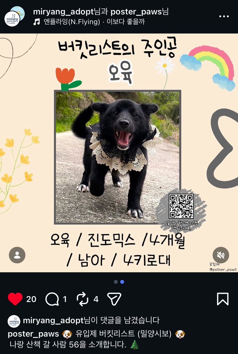 김단범철 tweet media