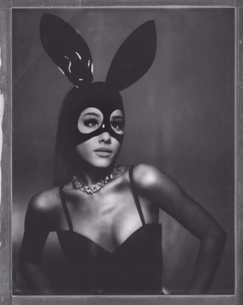 Ariana Grande Belgium ꕤ tweet media