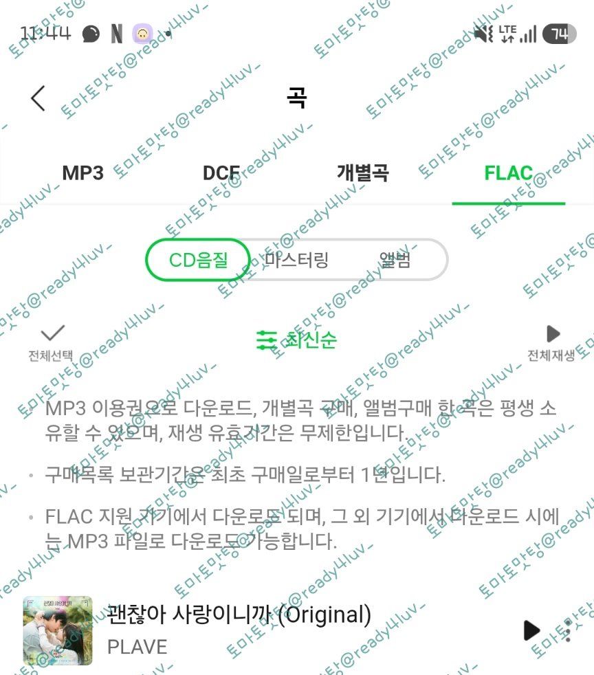 토마토맛탕 tweet media