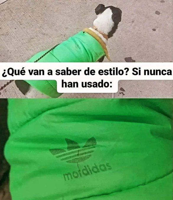Alejo tweet media