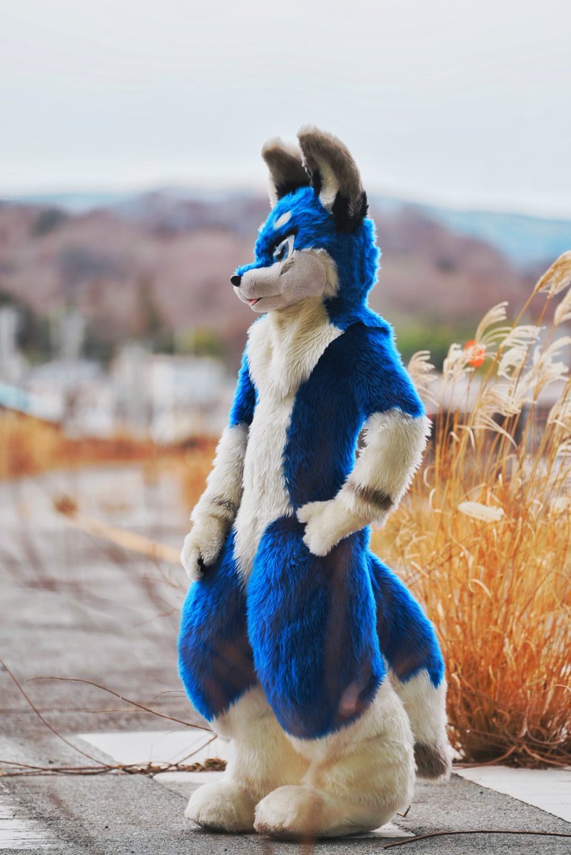 RT @luca765: #FursuitEveryday
