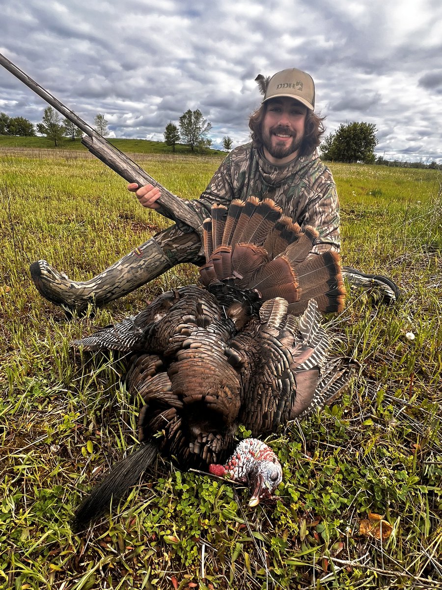 Turkey & Turkey Hunting tweet media