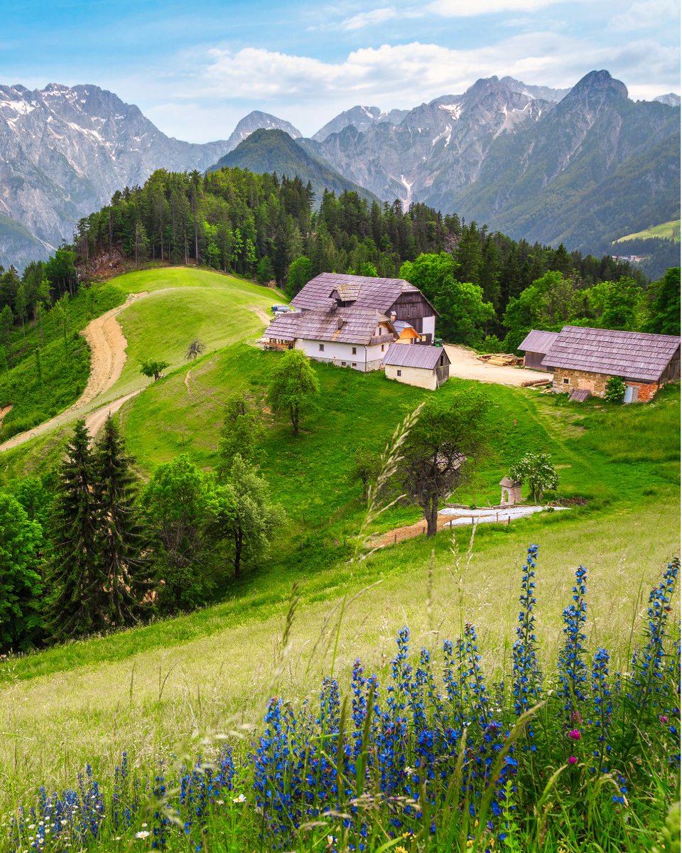 Travel Hiking View tweet media