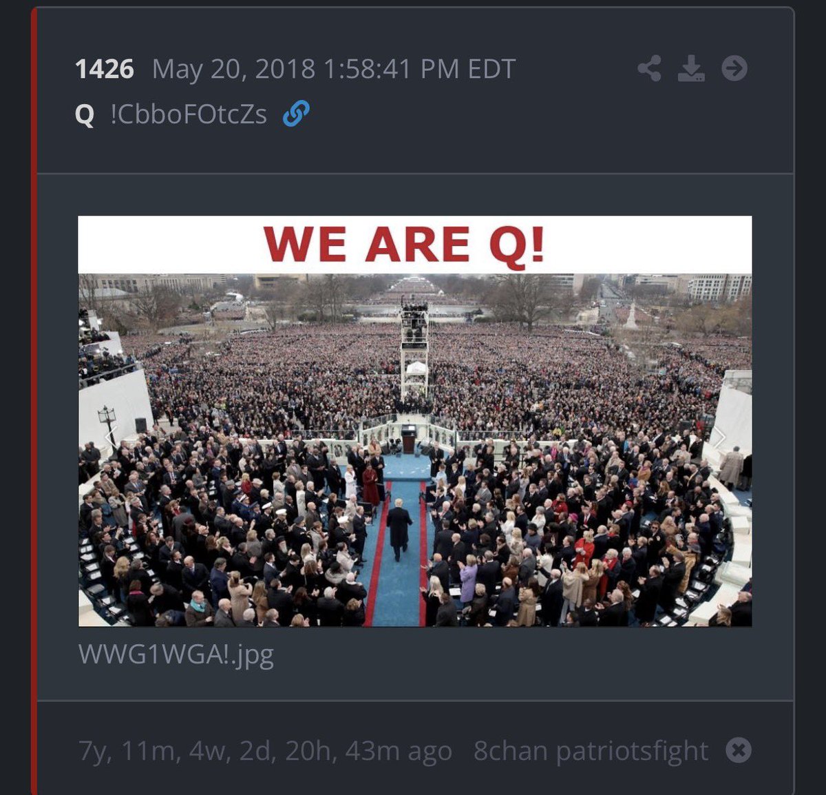 IRISH PATRIOT tweet media