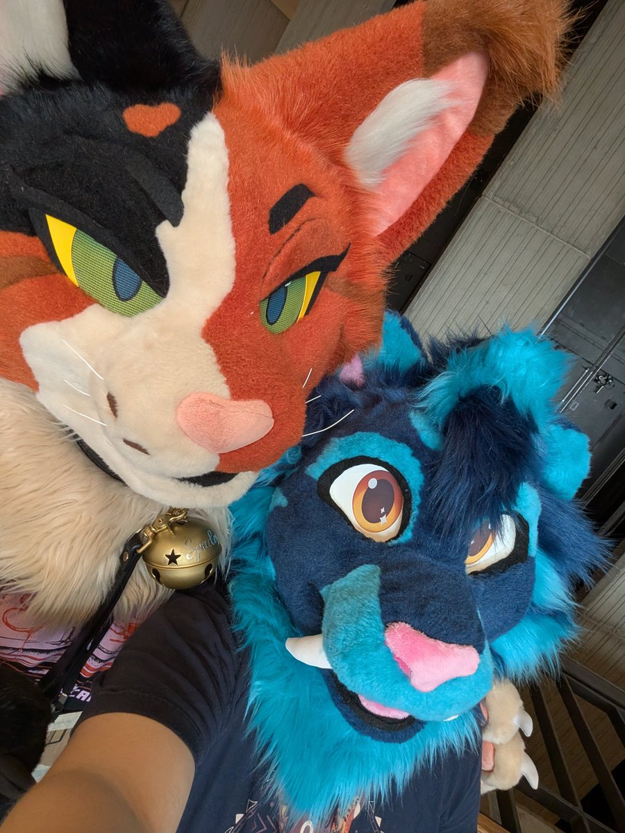 :3s tweet media