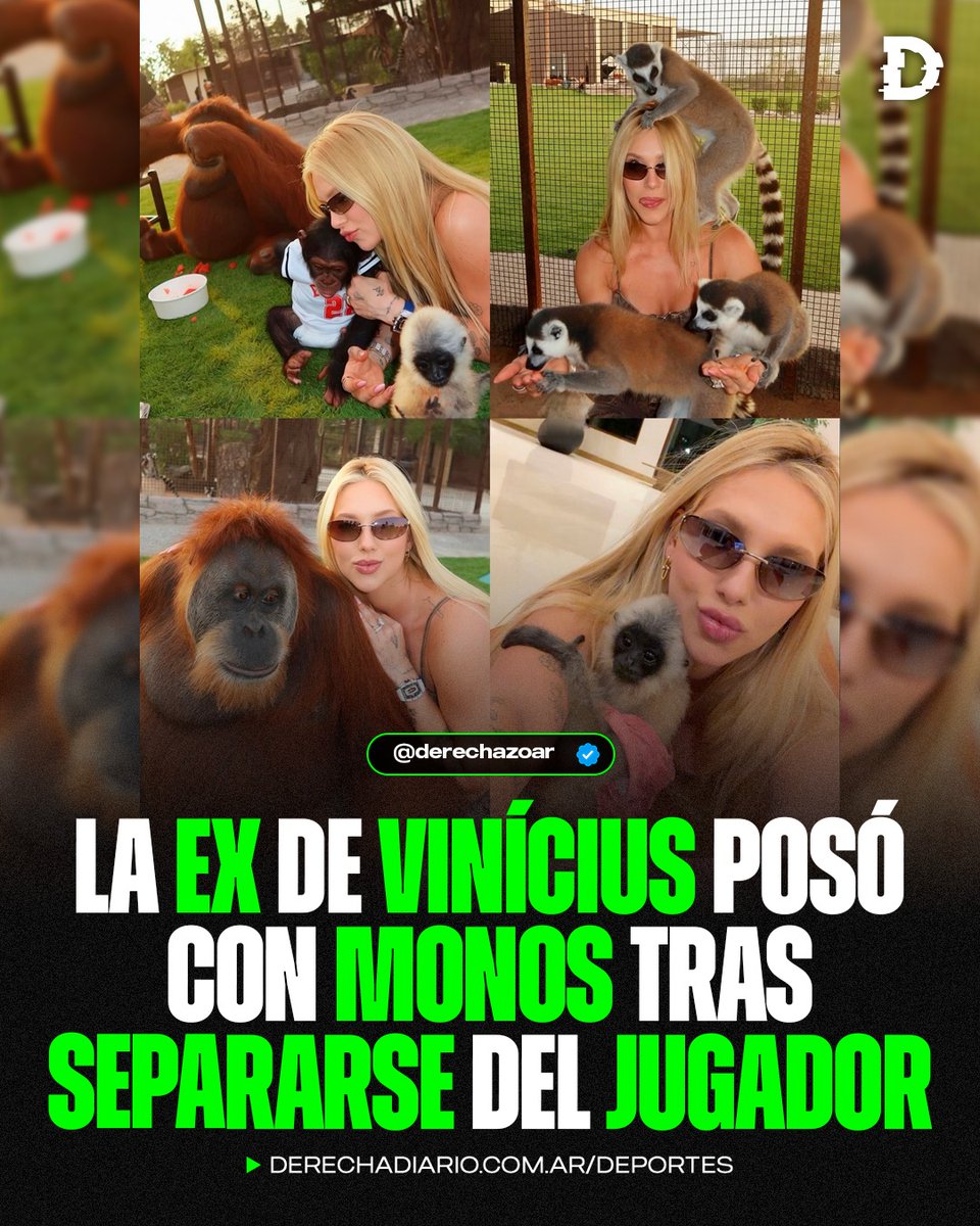 Derechazo tweet media
