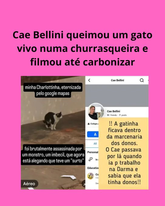 ayka tweet media