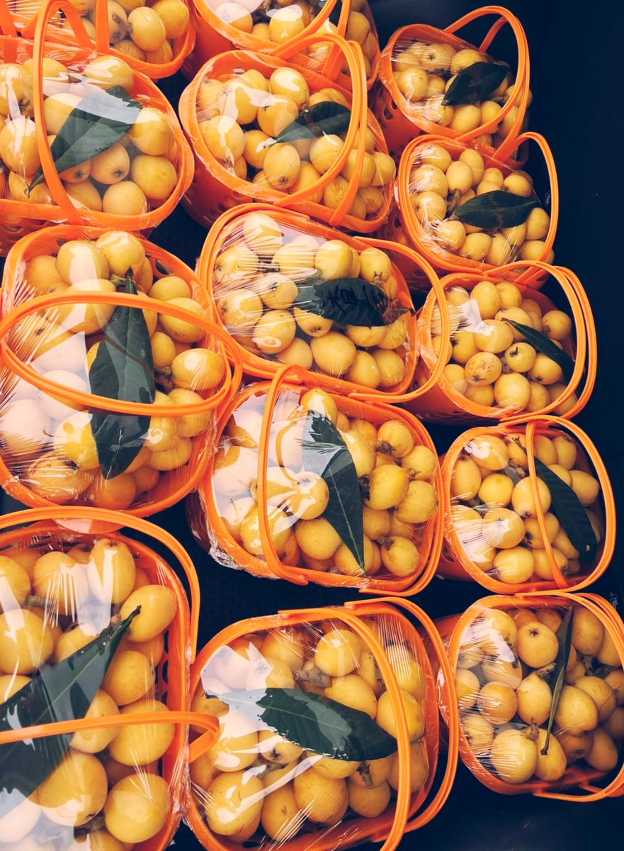ailuqiao123's tweet photo. Golden loquat season is in full swing in Luqiao! Sweet, juicy & sun‑ripened, full of warm summer vibes. Freshly picked local goodness. 🌿
#LuqiaoLoquat #WeLoveZhejiang #SeasonalFruit #LocalTaste https://t.co/VcE4I4Aqv1