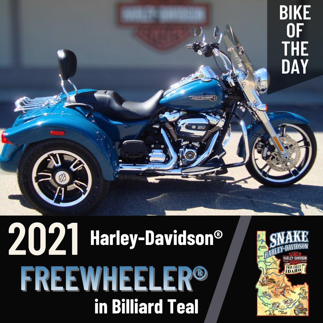 Snake H-D tweet media