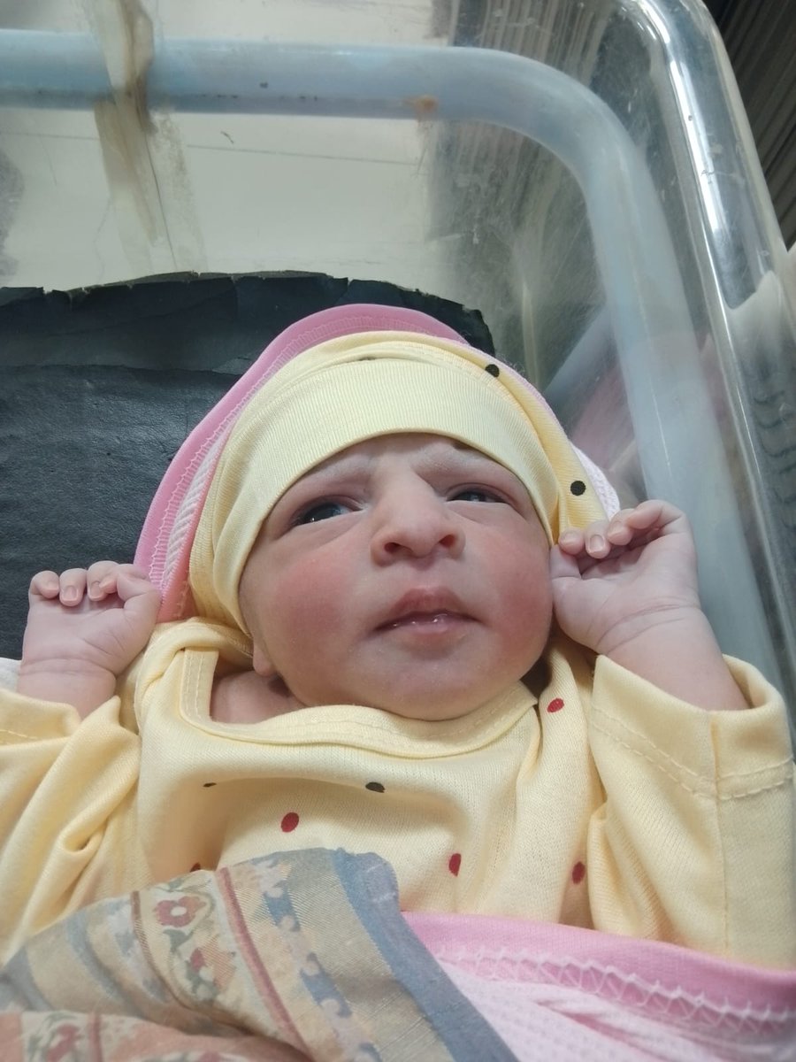 Amina Nur tweet media