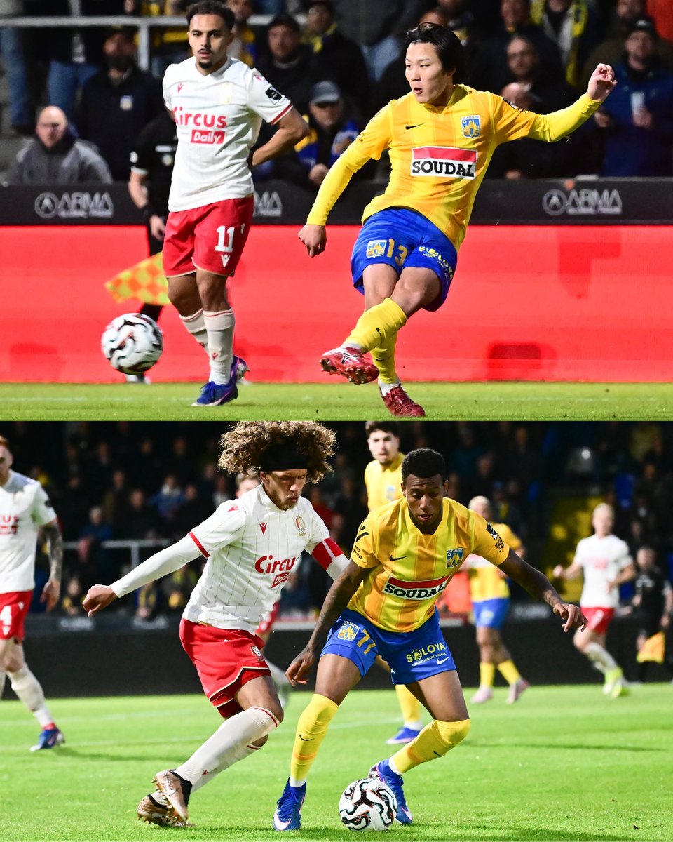 KVC Westerlo tweet media