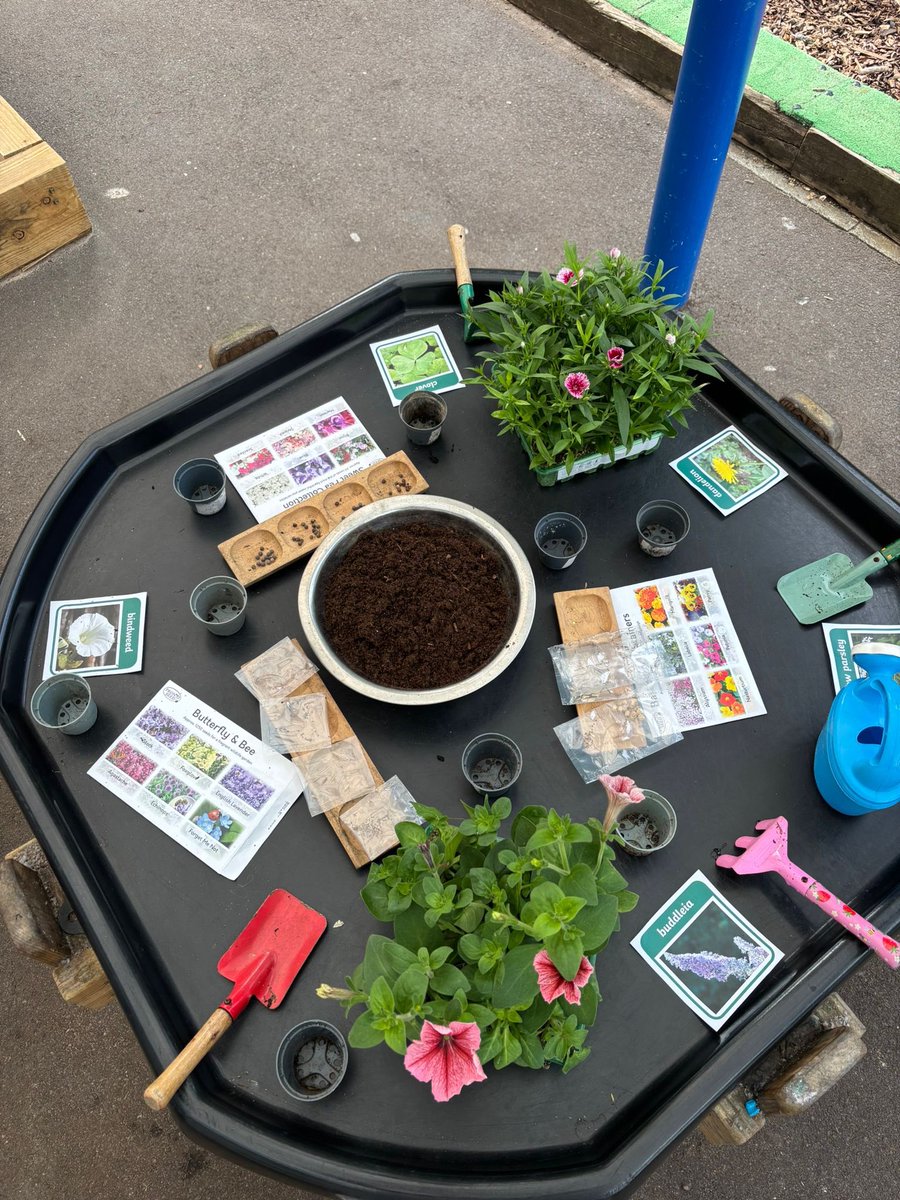 FLawnPrimary's tweet photo. Front Lawn Primary School recently hosted a RISE network morning for leaders, showcasing evidence-informed Continuous Provision and high-quality interactions that strategically boost independence, language development, and early progress. #TKAT #RussellHobby https://t.co/oNi9t6yhSA