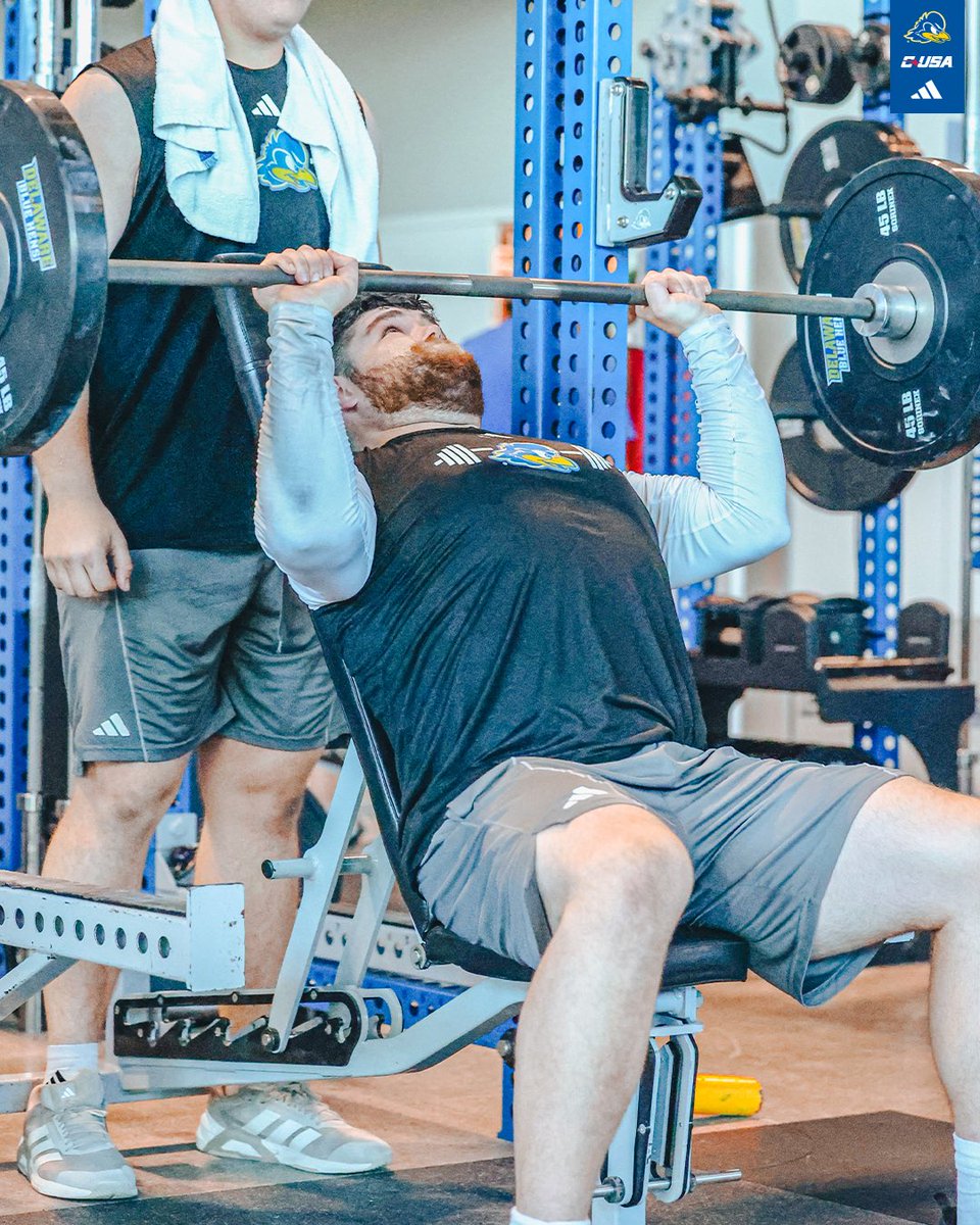 Delaware Football tweet media