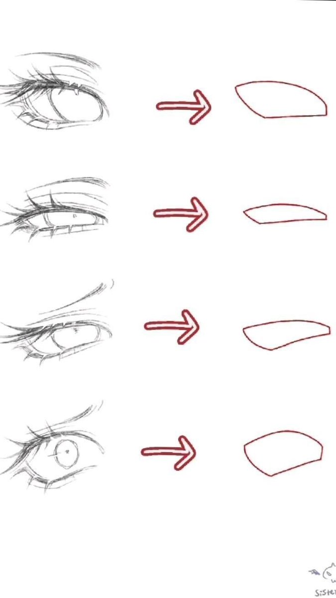 LimboSketch tweet media
