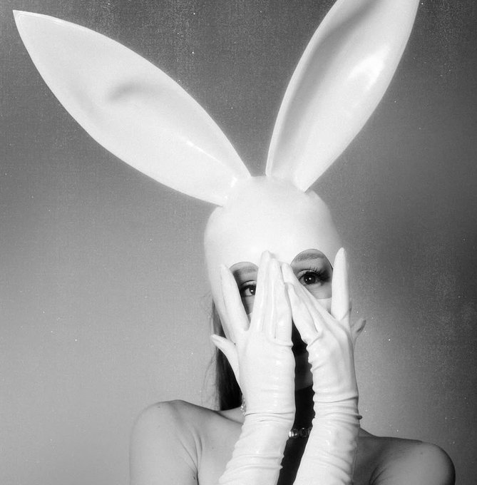 Ariana World HQ ꕤ tweet media