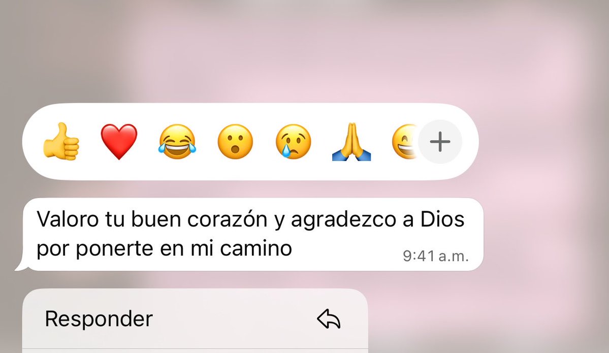 María🐍 tweet media