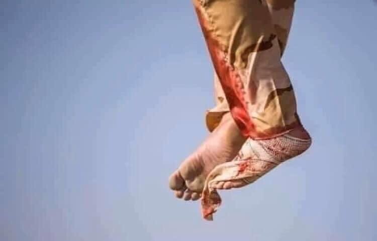 حيدر tweet media