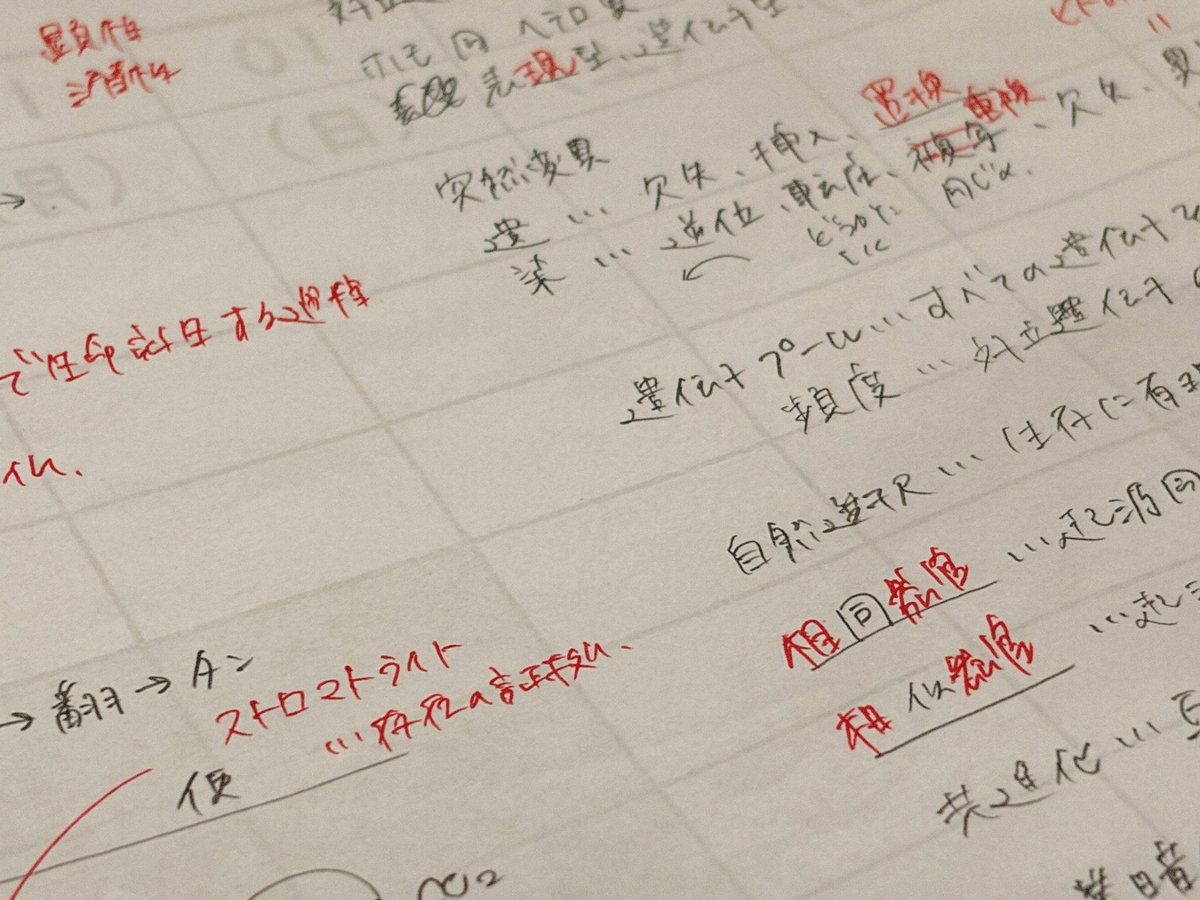 ヒナタ tweet media