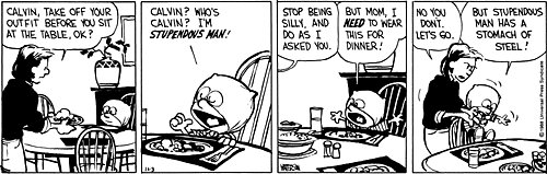Calvin and Hobbes Daily tweet media