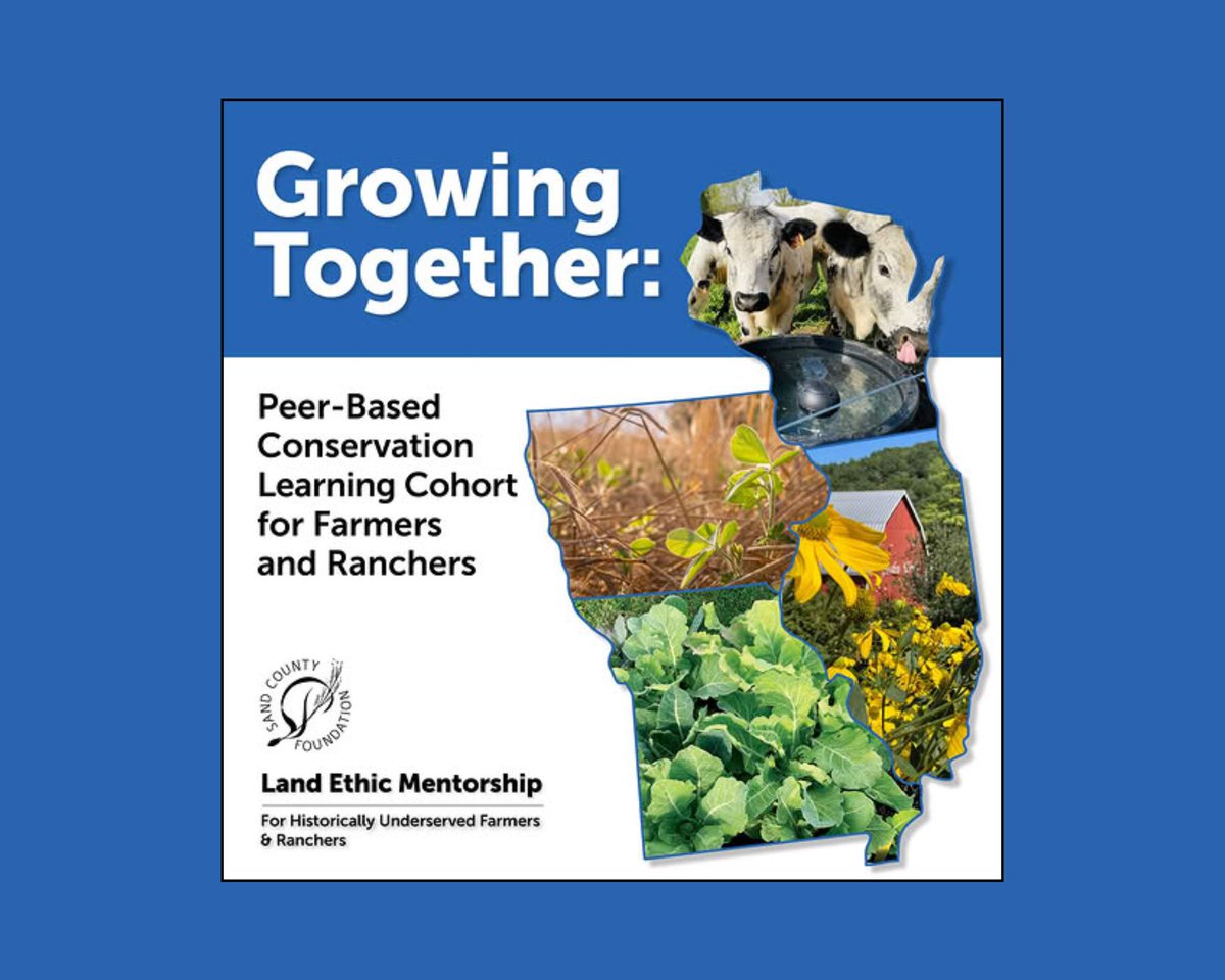 IowaMonarchs's tweet photo. Additional upcoming events!
- Sand County Foundation has a peer-based conservation cohort beginning June 8!
https://t.co/SmU2GaxtcM
- @INHF is hosting a series of prairie walks at the Ames High Prairie starting June 10!
https://t.co/D2yteiqdsS https://t.co/IxsPUKTlv7
