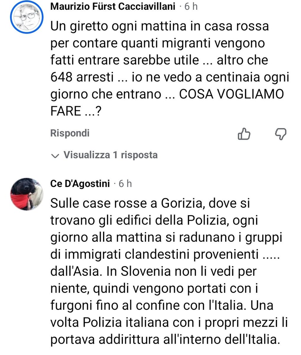 Max Ferrari tweet media