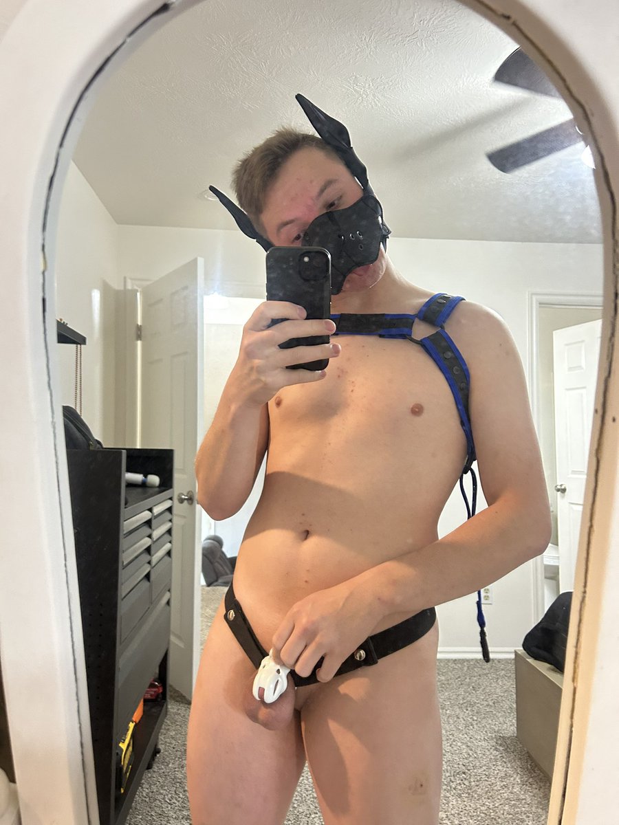 Tyrones_AD's tweet photo. Cute lil dog all locked up https://t.co/LtoTXLthTl