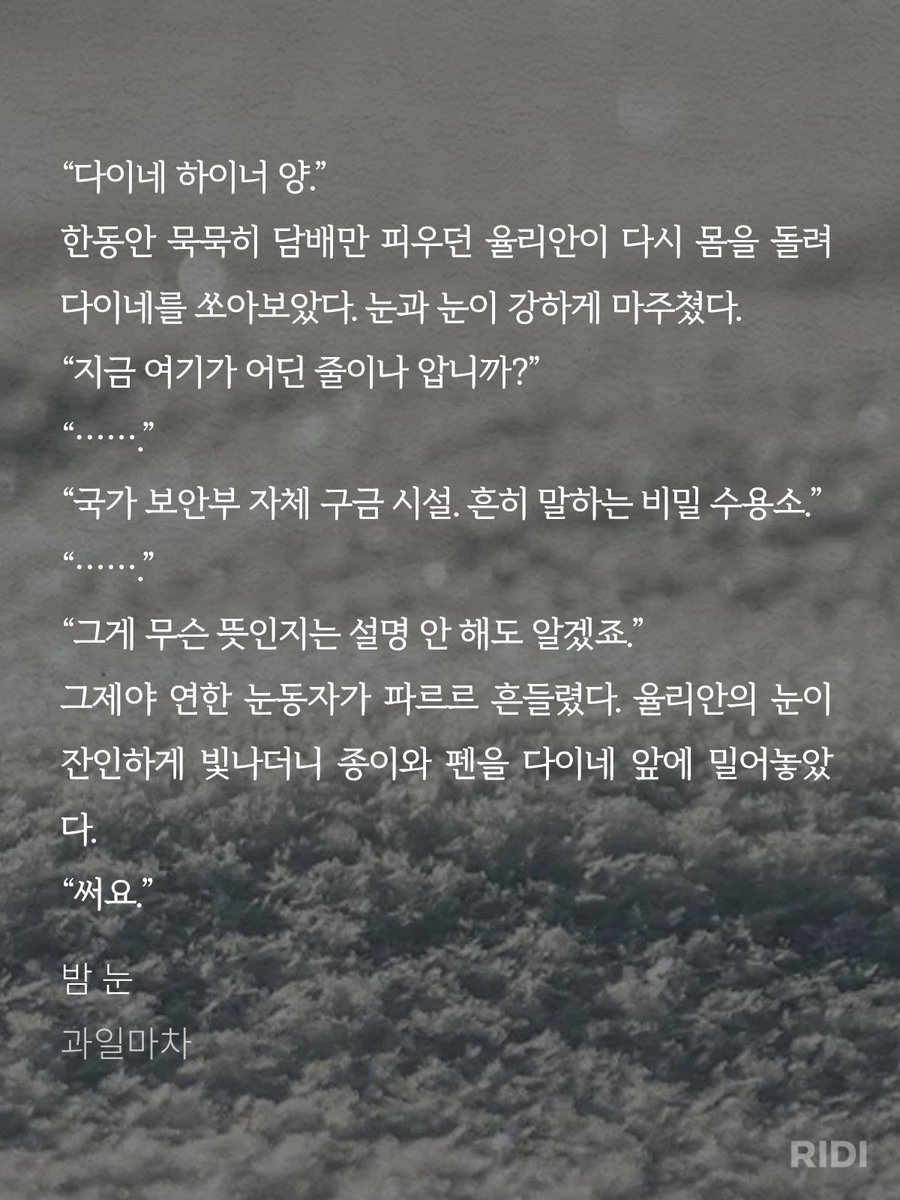 보라도리🕊🐈 tweet media