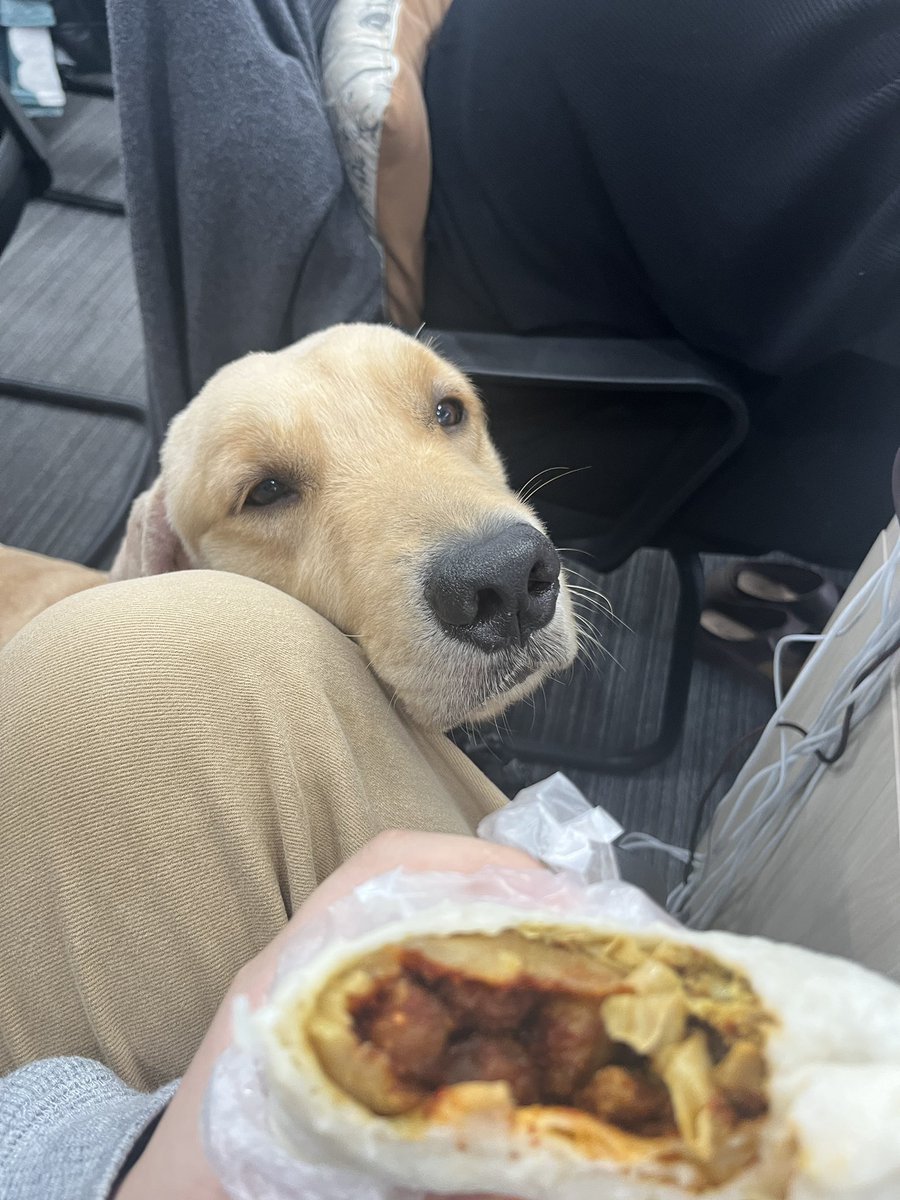 麻辣羊肉卷子 tweet media