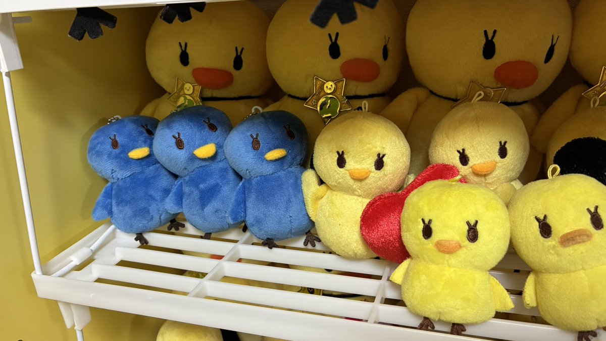 ひなぴよ tweet media
