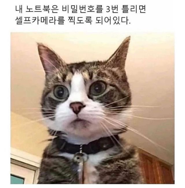 별안간 tweet media