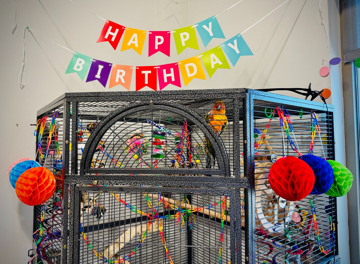 ECSD_SC's tweet photo. STROM THURMOND CAREER AND TECHNOLOGY CENTER'S BEAUTIFUL SUN CONURE "CHIP" TURNS ONE YEAR-OLD TODAY SO LET'S WISH HIM A HAPPY BIRTHDAY! ONLINE REGISTRATION FOR 2026-27 SCHOOL YEAR IS OPEN SO JOIN THE VETERINARY SCIENCE ADVENTURE TODAY!

Johnston, SC – One of the very "brightest" faculty members teaching and learning inside the Strom Thurmond Career & Technology Center (STCTC) reaches his very first birthday today (5/20) and we'd love for you to help us celebrate.

"Chip" is a beautiful Sun Conure (Aratinga solstitialis or Sun Parakeet), and also Edgefield County School District (ECSD) Superintendent Dr. Kevin O’Gorman's favorite animal to visit inside the Strom Thurmond Career and Technology Center's agriculture building where STCTC teacher Jessica Sharp-Miner teaches the Exploration of Veterinary Science and Animal Care.

The course, which is available to students at Merriwether Middle School, Johnston Edgefield Trenton Middle School, and the Strom Thurmond Career and Technology Center, is only the first in a series planned for a new career pathway at STCTC into the field of veterinary science.

Students in the course have ready access to a wide variety of animal species – including frogs, snakes, rabbits, birds, a skink, iguanas, tortoises, cats, dogs, lizards, geckos, and more – allowing them to move beyond the curiosity phase and transition to serious study, all in a fun, caring, and light-hearted environment.

“There’s a lot to learn, but we also have lots of fun,” says Sharp-Miner.

In the course, Sharp-Miner discusses the importance of algae and fungi to animals, corrects misperceptions (some snakes are venomous, but NEVER poisonous) and adds interesting facts (African royalty once used snakes as personal adornments, wardrobe selections, and status symbols).

“I'm a big believer in hands-on education, which is why I have so many animals in my classrooms," adds Sharp-Miner. "This program provides our students with an amazing opportunity to learn and interact with things that may never have been available to them before.”

Please drop a comment to wish Chip a happy birthday and then share this story with a family or student who might be interested in more information about this course at Merriwether Middle School, Johnston Edgefield Trenton Middle School and STCTC.

Online student registration for the 2026-27 school year is OPEN so register today and join the veterinary science adventure with teacher Jessica Sharp-Miner next school year.

https://t.co/gakIQcjQMI