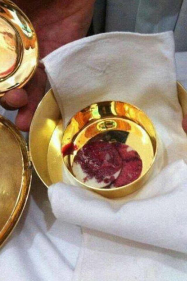 𝚕𝚒𝚝𝚝𝚕𝚎 𝚘𝚗𝚎 ♱🇻🇦 tweet media