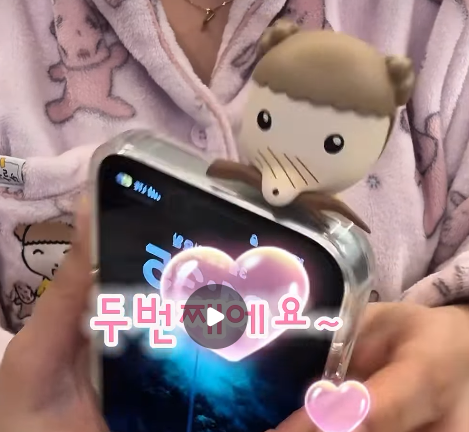 부보부복 tweet media