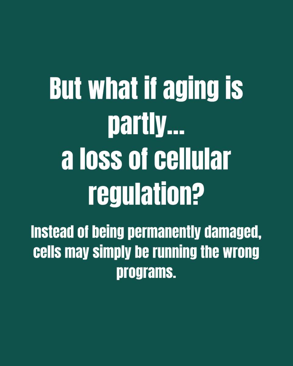 DcodLongevity's tweet photo. What if aging isn’t damage… but misregulation?

Ep. 26 of Decoding Longevity, hosted by Raghav Sehgal &amp; Macsue Jacques, with Dr. Janine Sengstack.

“Cell Reset Therapeutics” = from replacement to restoration.

Spotify: https://t.co/nzRKo3FEDj
YouTube: https://t.co/A8o3XzvZfM https://t.co/rUoFclcIiq