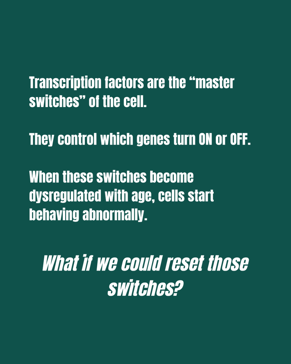 DcodLongevity's tweet photo. What if aging isn’t damage… but misregulation?

Ep. 26 of Decoding Longevity, hosted by Raghav Sehgal &amp; Macsue Jacques, with Dr. Janine Sengstack.

“Cell Reset Therapeutics” = from replacement to restoration.

Spotify: https://t.co/nzRKo3FEDj
YouTube: https://t.co/A8o3XzvZfM https://t.co/rUoFclcIiq