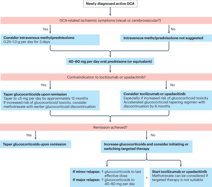 NatRevRheumatol's tweet photo. New content online: Treatment strategies in giant cell arteritis and polymyalgia rheumatica: beyond glucocorticoids https://t.co/b73BXXezcS https://t.co/TpoYf78QK7