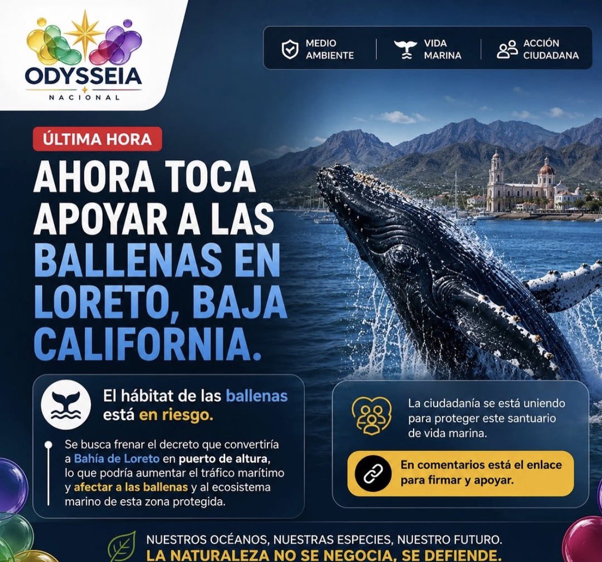 Así Sucede Noticias tweet media