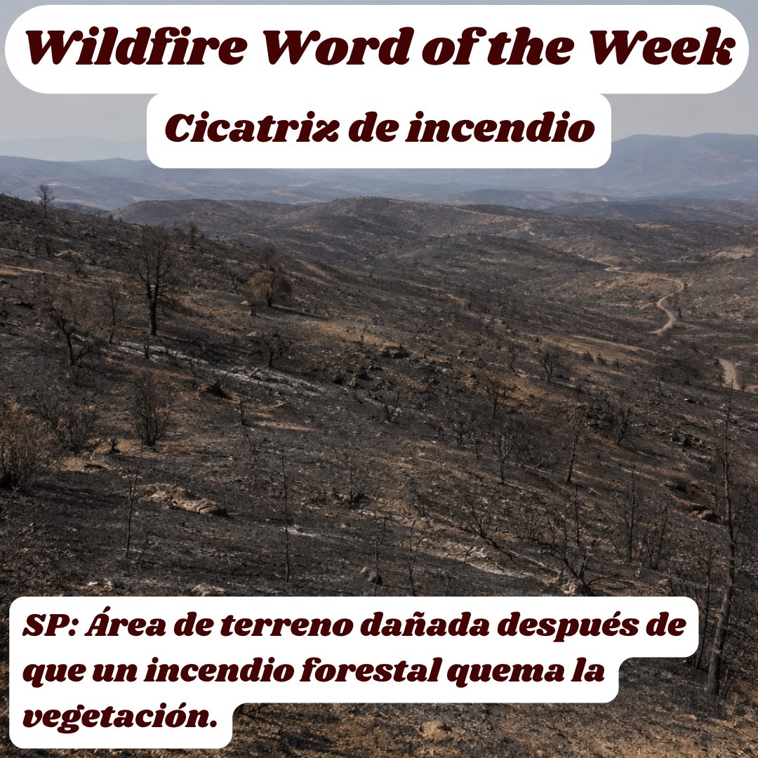 WUI_Fire's tweet photo. Las cicatrices de incendio son recordatorios duraderos del impacto de los incendios forestales en las comunidades y los ecosistemas. La recuperación requiere tiempo, preparación y esfuerzos de restauración. https://t.co/J0GwqbrPuv