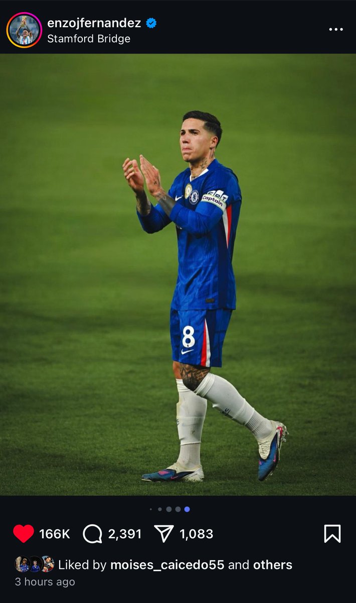 Perro Chelsea #ClearlakeOUT #EghbaliOUT tweet media