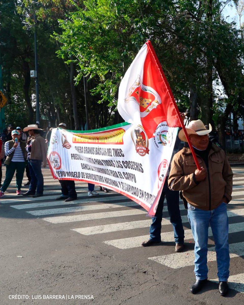 El Sol de México tweet media