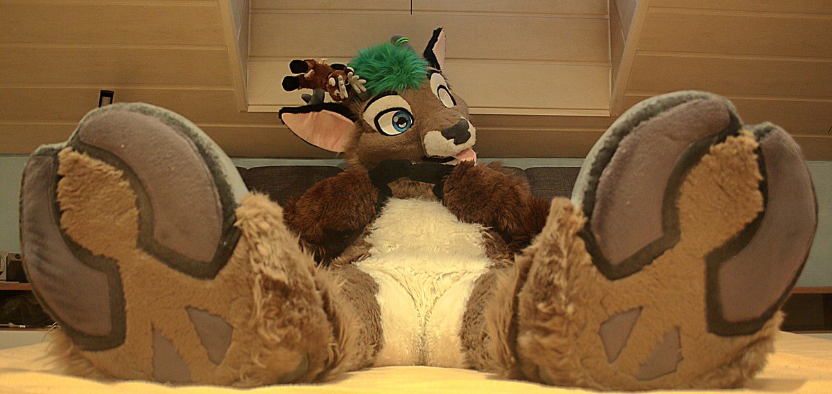 ShipoTheDeer tweet media