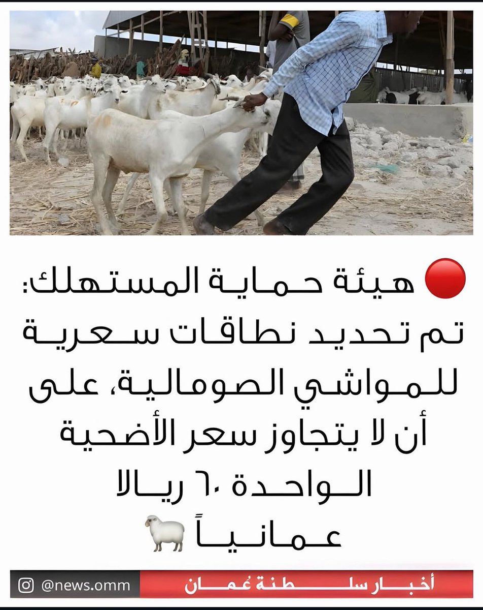 أحمد الكلباني💥 tweet media