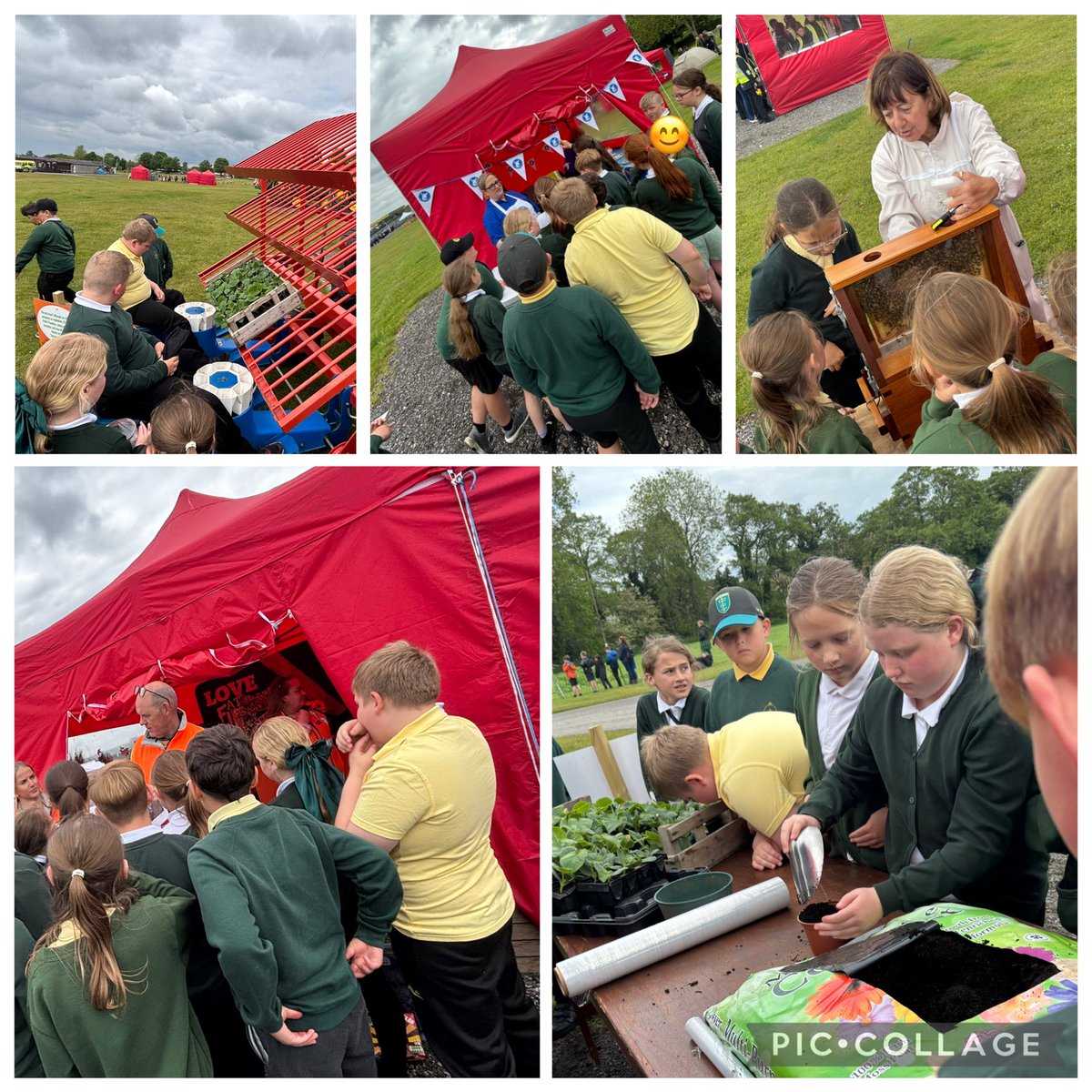 Bellfield Primary tweet media