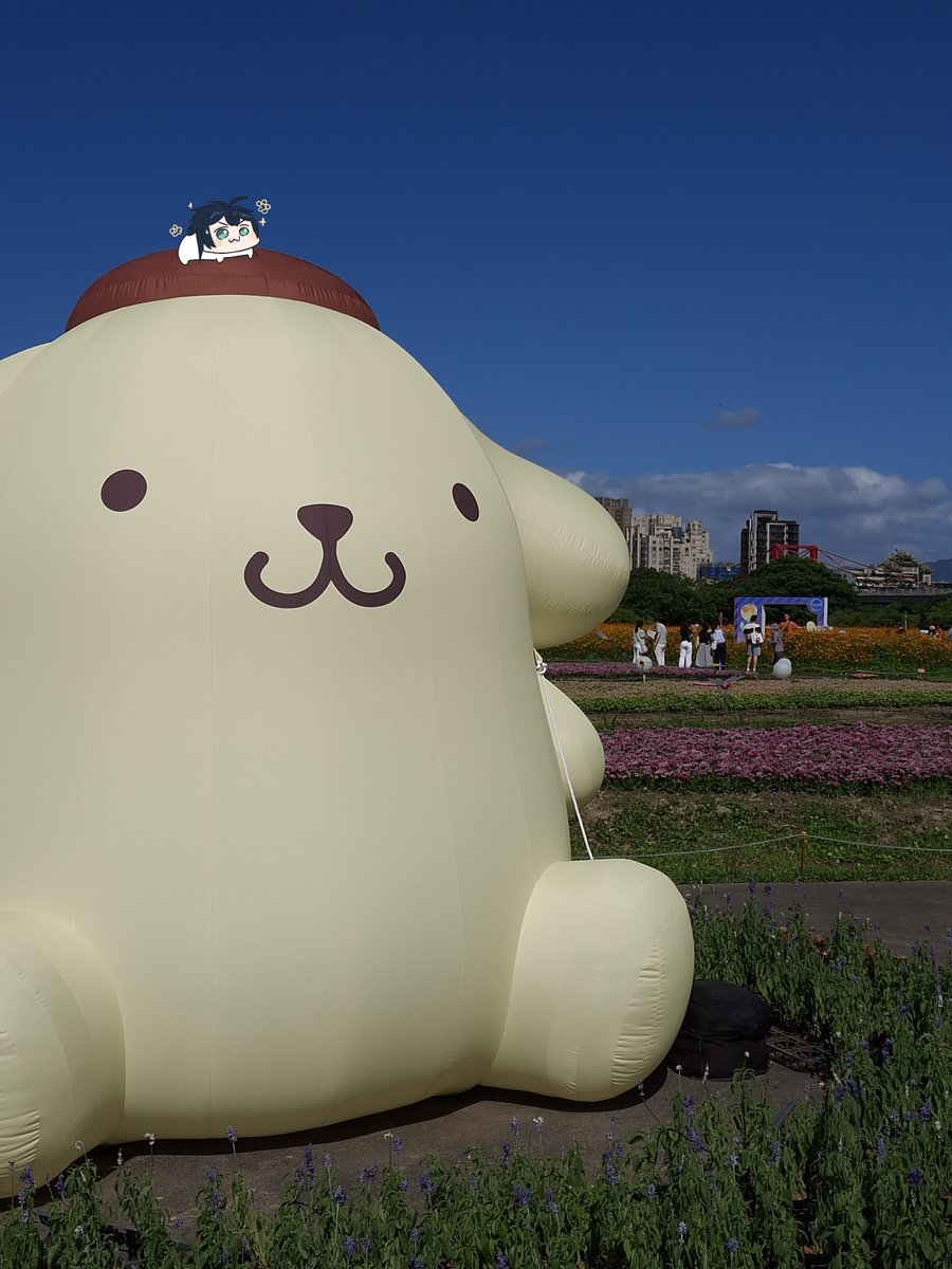 自由風小小 tweet media