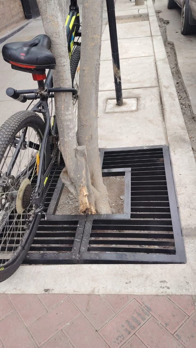 Epicentro_TV's tweet photo. 🚨Vecinos denuncian que la Municipalidad de Jesús María continúa quitando áreas verdes. La entidad edil viene colocando rejas alrededor de varios árboles que antes estaban rodeados de grass, lo cual ha sido considerado por los vecinos como un gasto innecesario, antitécnico y que limita el área de riego. La tercera foto muestra como estaban antes esas áreas.