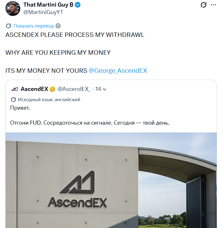 Alex Chivas tweet media