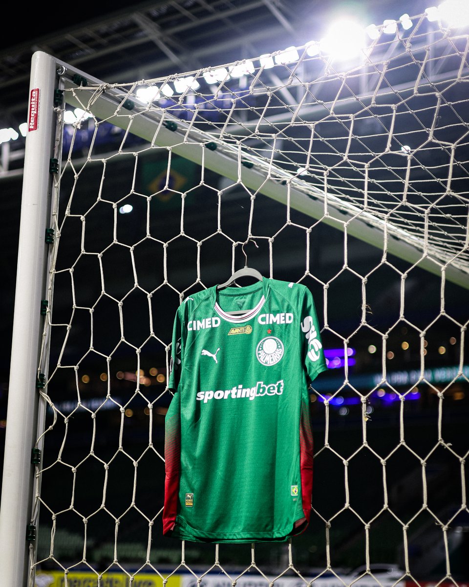 SE Palmeiras tweet media