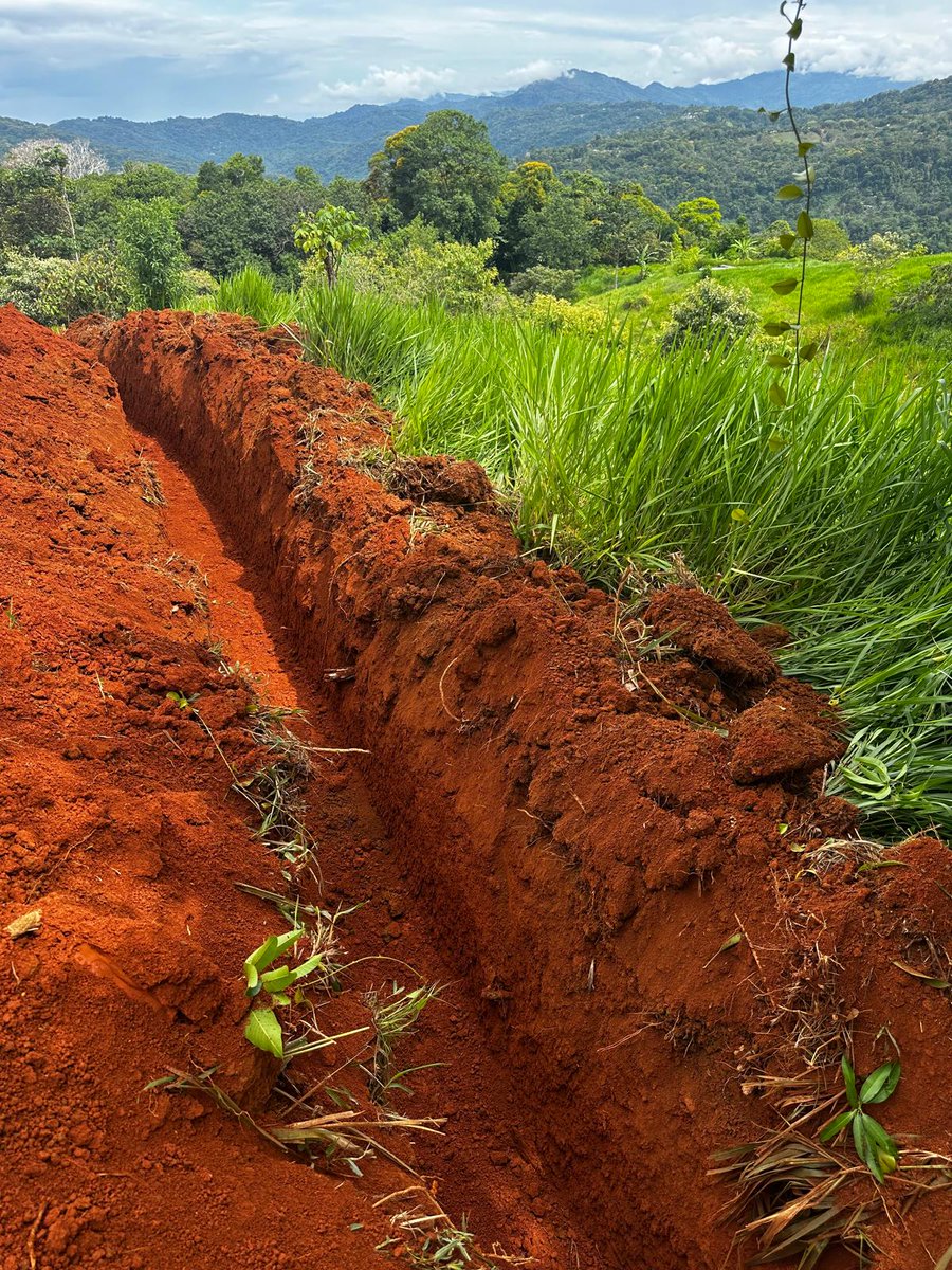 the_Acraya's tweet photo. Everyone talks about building something but this is what it actually looks like.

Utilities going in at our first dark retreat location in Holos, Costa Rica. https://t.co/MnwJl4WsFO