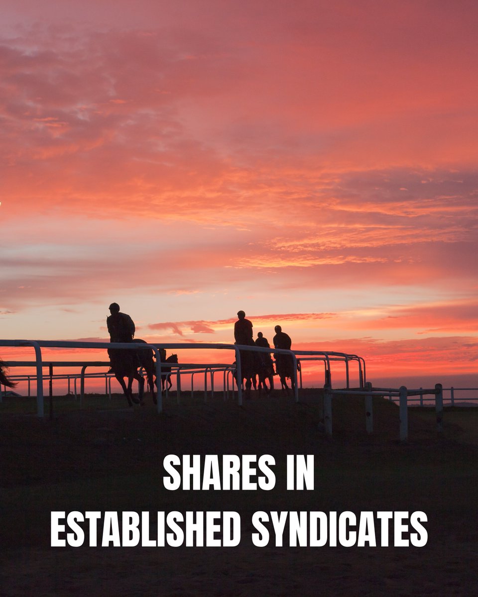 Bloodstock's tweet photo. Shares in established Challenge Syndicates DO COME AVAILABLE ON A REGULAR BASIS.
https://t.co/SVnKCPJi5p https://t.co/FEYXclVYNn